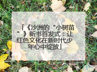 《沙洲的“小树苗”》新书首发式：让红色文化在新时代少年心中绽放