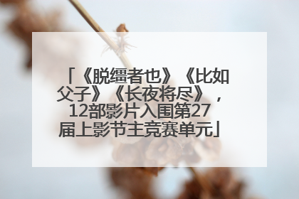 《脱缰者也》《比如父子》《长夜将尽》，12部影片入围第27届上影节主竞赛单元