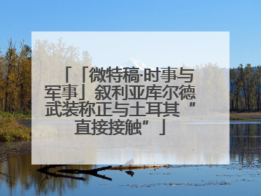 「微特稿·时事与军事」叙利亚库尔德武装称正与土耳其“直接接触”