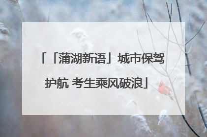 「蒲湖新语」城市保驾护航 考生乘风破浪