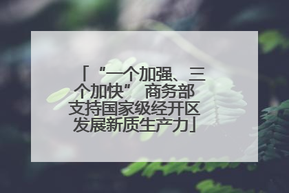 “一个加强、三个加快” 商务部支持国家级经开区发展新质生产力