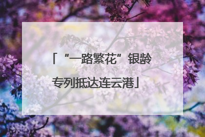 “一路繁花”银龄专列抵达连云港