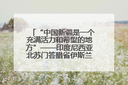 “中国新疆是一个充满活力和希望的地方”——印度尼西亚北苏门答腊省伊斯兰教代表团参访新疆
