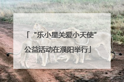 “乐小星关爱小天使”公益活动在濮阳举行