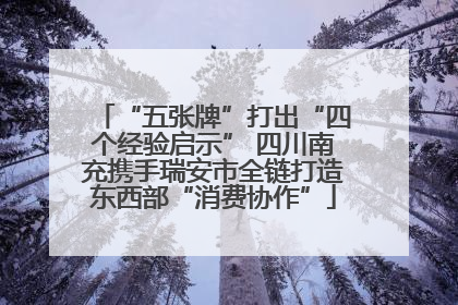 “五张牌”打出“四个经验启示” 四川南充携手瑞安市全链打造东西部“消费协作”