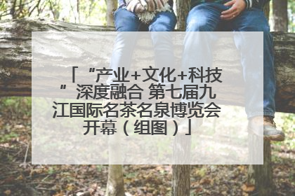 “产业+文化+科技”深度融合 第七届九江国际名茶名泉博览会开幕（组图）