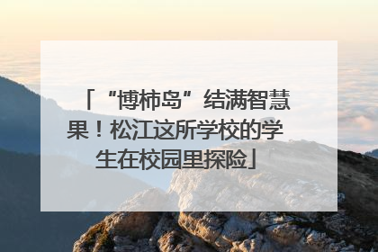 “博柿岛”结满智慧果！松江这所学校的学生在校园里探险