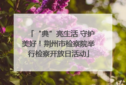 “典”亮生活 守护美好！荆州市检察院举行检察开放日活动