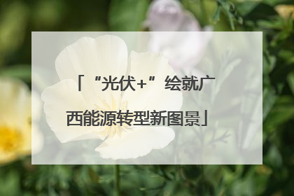 “光伏+”绘就广西能源转型新图景