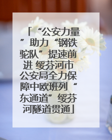 “公安力量”助力“钢铁驼队”提速前进 绥芬河市公安局全力保障中欧班列“东通道”绥芬河隧道贯通