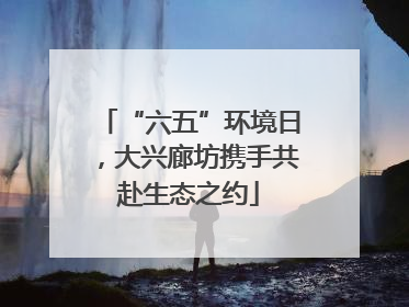 “六五”环境日，大兴廊坊携手共赴生态之约