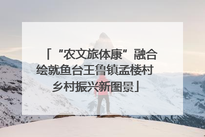 “农文旅体康”融合绘就鱼台王鲁镇孟楼村乡村振兴新图景