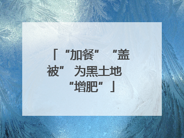 “加餐”“盖被” 为黑土地“增肥”