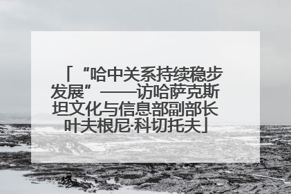 “哈中关系持续稳步发展”——访哈萨克斯坦文化与信息部副部长叶夫根尼·科切托夫