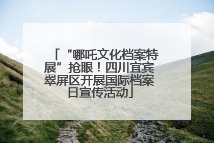 “哪吒文化档案特展”抢眼！四川宜宾翠屏区开展国际档案日宣传活动