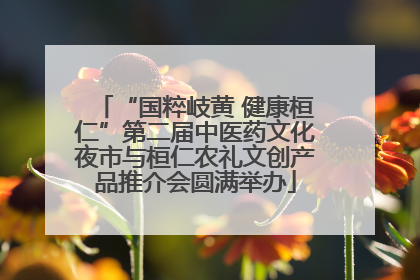 “国粹岐黄 健康桓仁”第二届中医药文化夜市与桓仁农礼文创产品推介会圆满举办