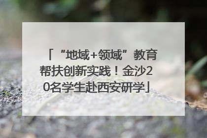 “地域+领域”教育帮扶创新实践！金沙20名学生赴西安研学