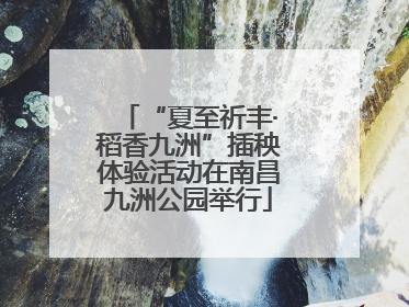 “夏至祈丰·稻香九洲”插秧体验活动在南昌九洲公园举行