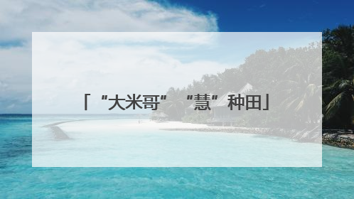 “大米哥”“慧”种田