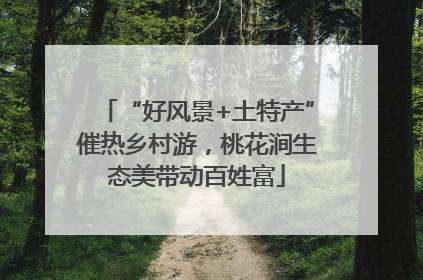“好风景+土特产”催热乡村游，桃花涧生态美带动百姓富