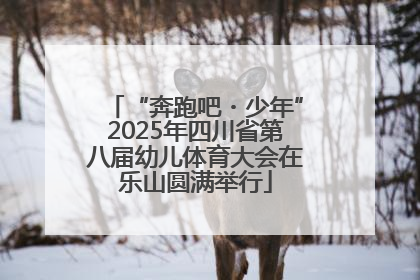 “奔跑吧・少年”2025年四川省第八届幼儿体育大会在乐山圆满举行