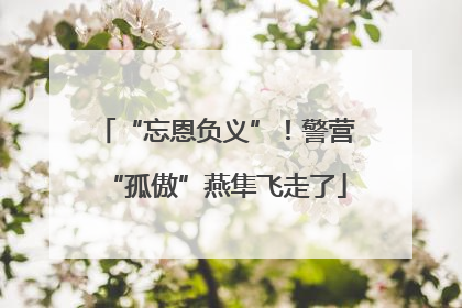 “忘恩负义”！警营“孤傲”燕隼飞走了