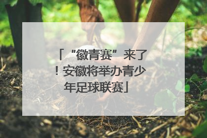 “徽青赛”来了！安徽将举办青少年足球联赛