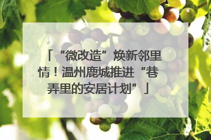 “微改造”焕新邻里情！温州鹿城推进“巷弄里的安居计划”