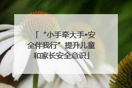 “小手牵大手•安全伴我行”提升儿童和家长安全意识
