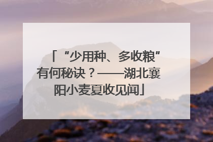 “少用种、多收粮”有何秘诀？——湖北襄阳小麦夏收见闻