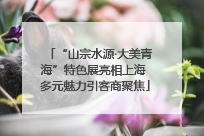 “山宗水源·大美青海”特色展亮相上海 多元魅力引客商聚焦
