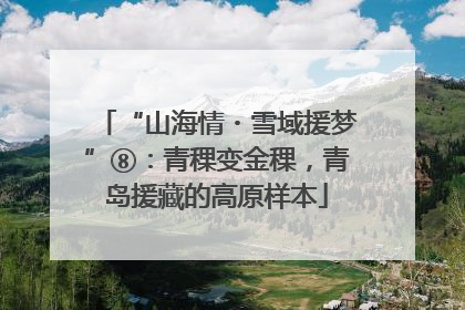 “山海情・雪域援梦”⑧：青稞变金稞，青岛援藏的高原样本