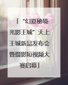 “幻夏秘境·光影王城”天上王城新品发布会暨摄影短视频大赛启幕