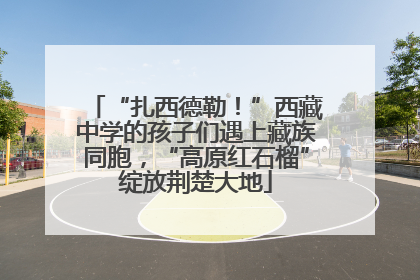 “扎西德勒！”西藏中学的孩子们遇上藏族同胞，“高原红石榴”绽放荆楚大地