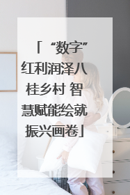 “数字”红利润泽八桂乡村 智慧赋能绘就振兴画卷