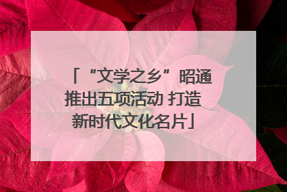 “文学之乡”昭通推出五项活动 打造新时代文化名片