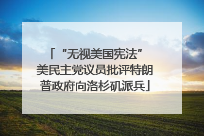 “无视美国宪法” 美民主党议员批评特朗普政府向洛杉矶派兵