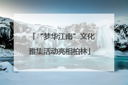 “梦华江南”文化雅集活动亮相柏林