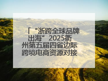 “浙跨全球品牌出海”2025衢州第五届四省边际跨境电商资源对接活动成功举办