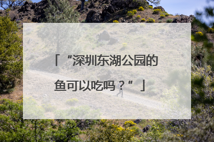 “深圳东湖公园的鱼可以吃吗？”