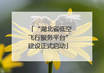 “湖北省低空飞行服务平台”建设正式启动