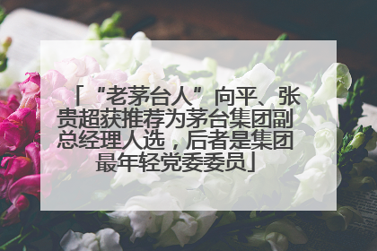 “老茅台人”向平、张贵超获推荐为茅台集团副总经理人选，后者是集团最年轻党委委员