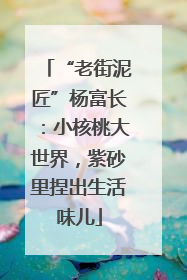 “老街泥匠”杨富长：小核桃大世界，紫砂里捏出生活味儿