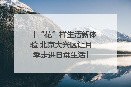 “花”样生活新体验 北京大兴区让月季走进日常生活