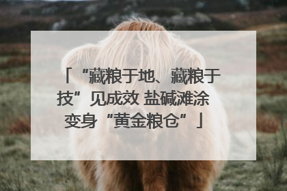 “藏粮于地、藏粮于技”见成效 盐碱滩涂变身“黄金粮仓”