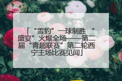 “雪豹”一球制胜 “盛宴”火爆全场——第二届“青超联赛”第二轮西宁主场比赛见闻