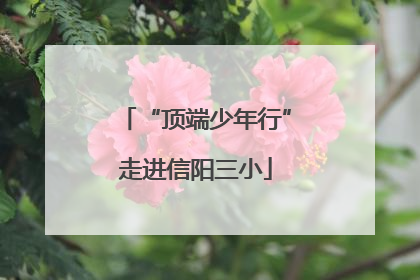 “顶端少年行”走进信阳三小