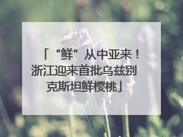 “鲜”从中亚来！浙江迎来首批乌兹别克斯坦鲜樱桃