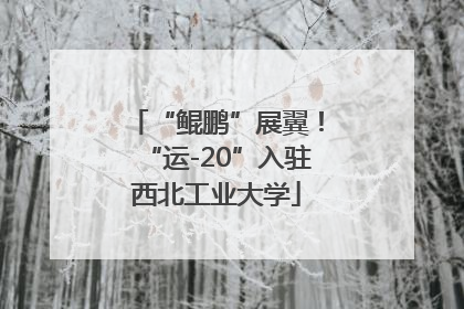 “鲲鹏”展翼！“运-20”入驻西北工业大学