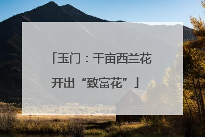 玉门：千亩西兰花开出“致富花”